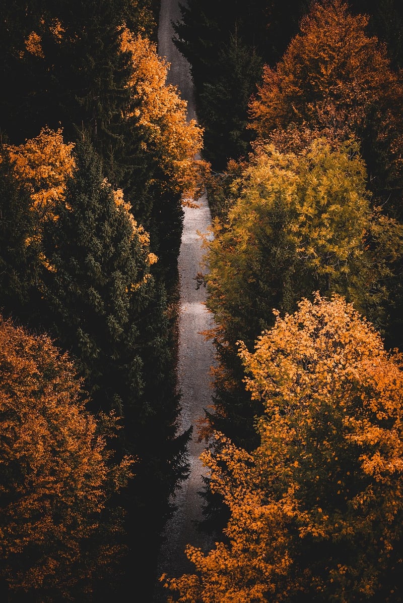 Queenstown, New Zealand